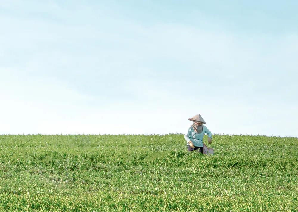 1620358666131315.jpg 微信图片_20210507113117.jpg