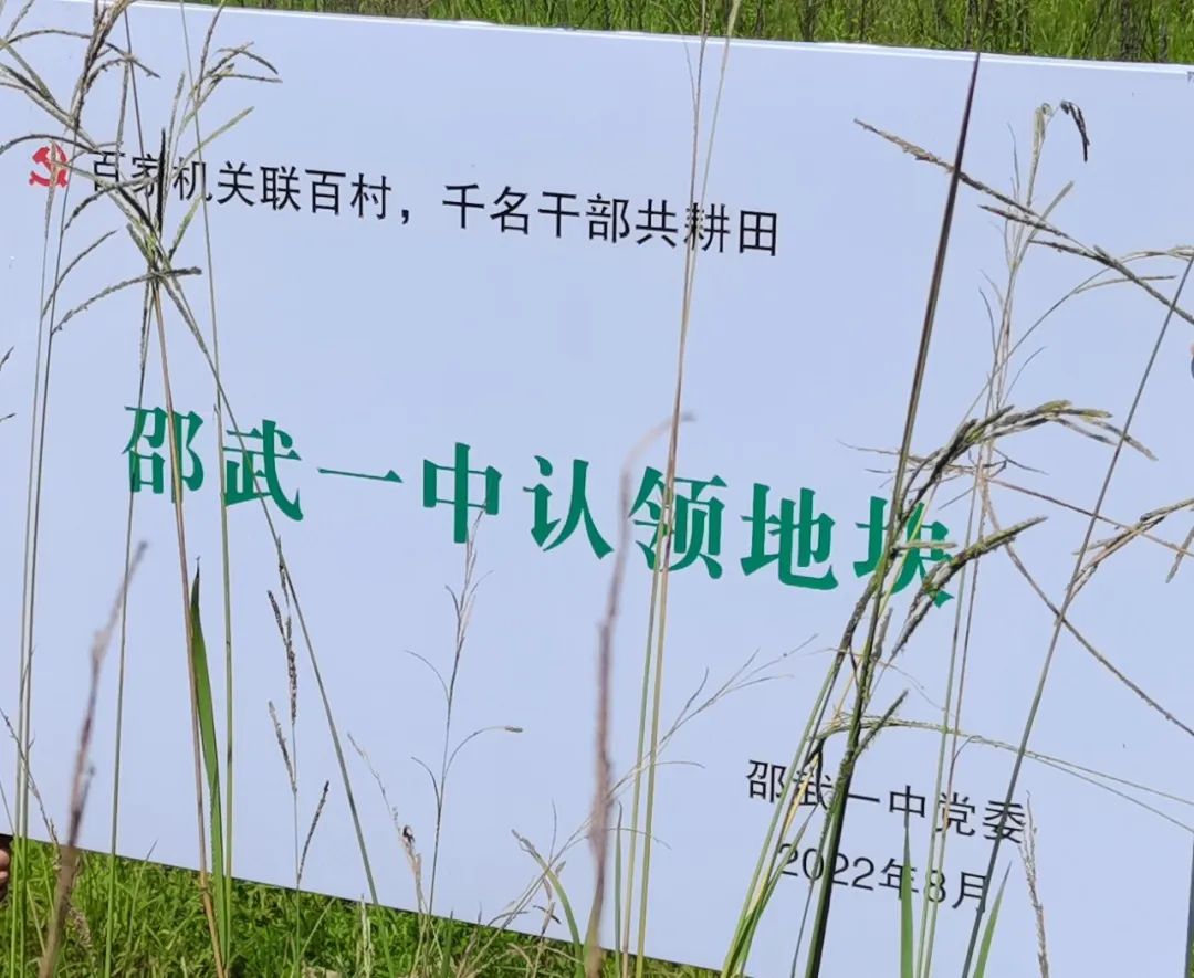 1691567509345502.jpg 640.jpg