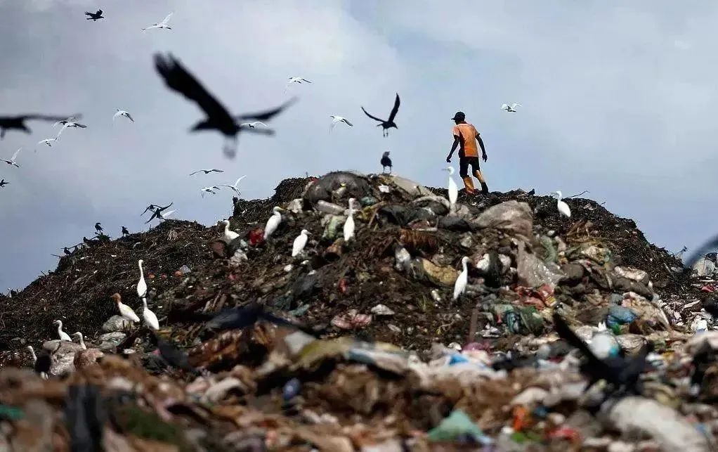 1694773803957328.jpg 640.jpg