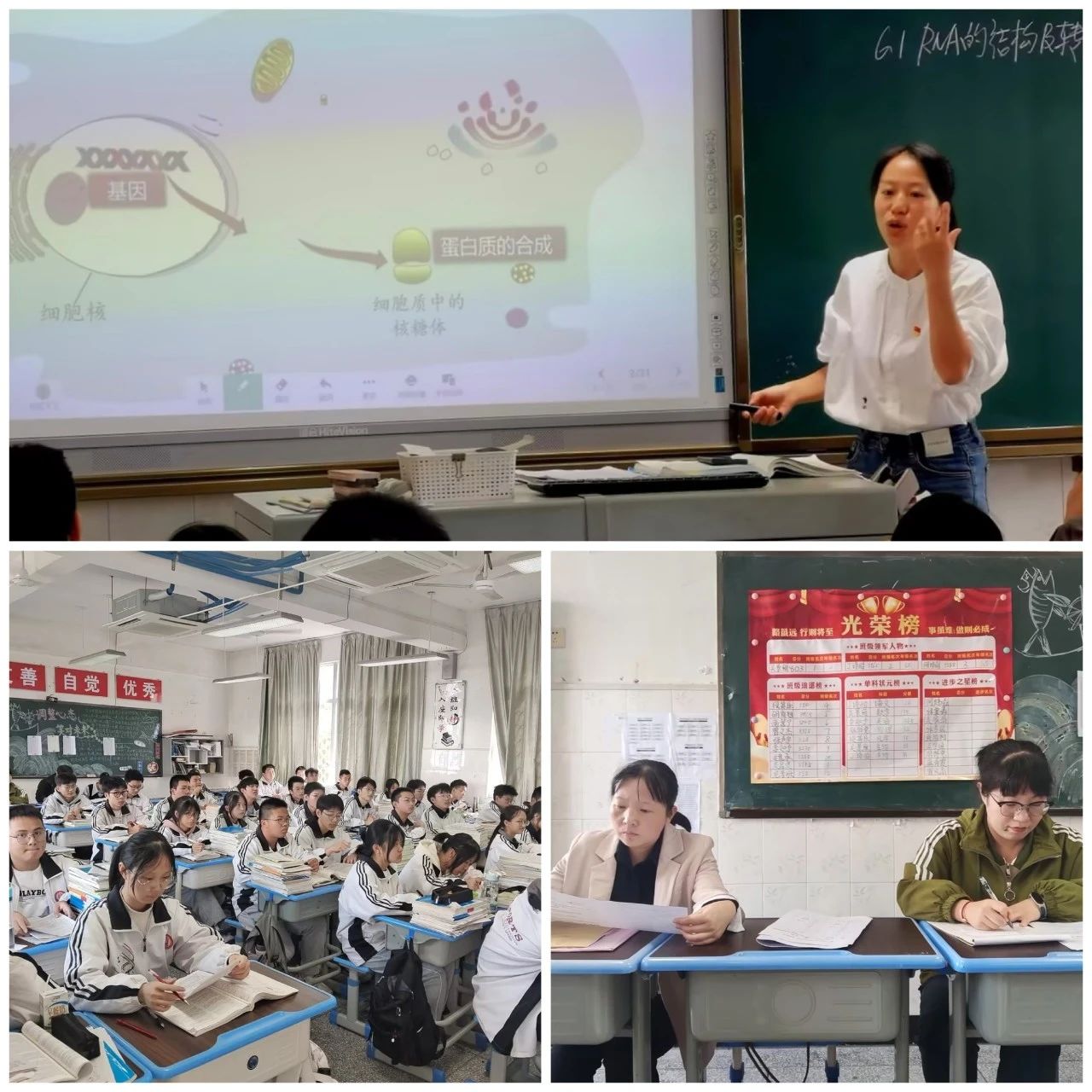 1698809012137142.jpg aaf0ecfdeb0a73c4123f419e989e63a1.jpg