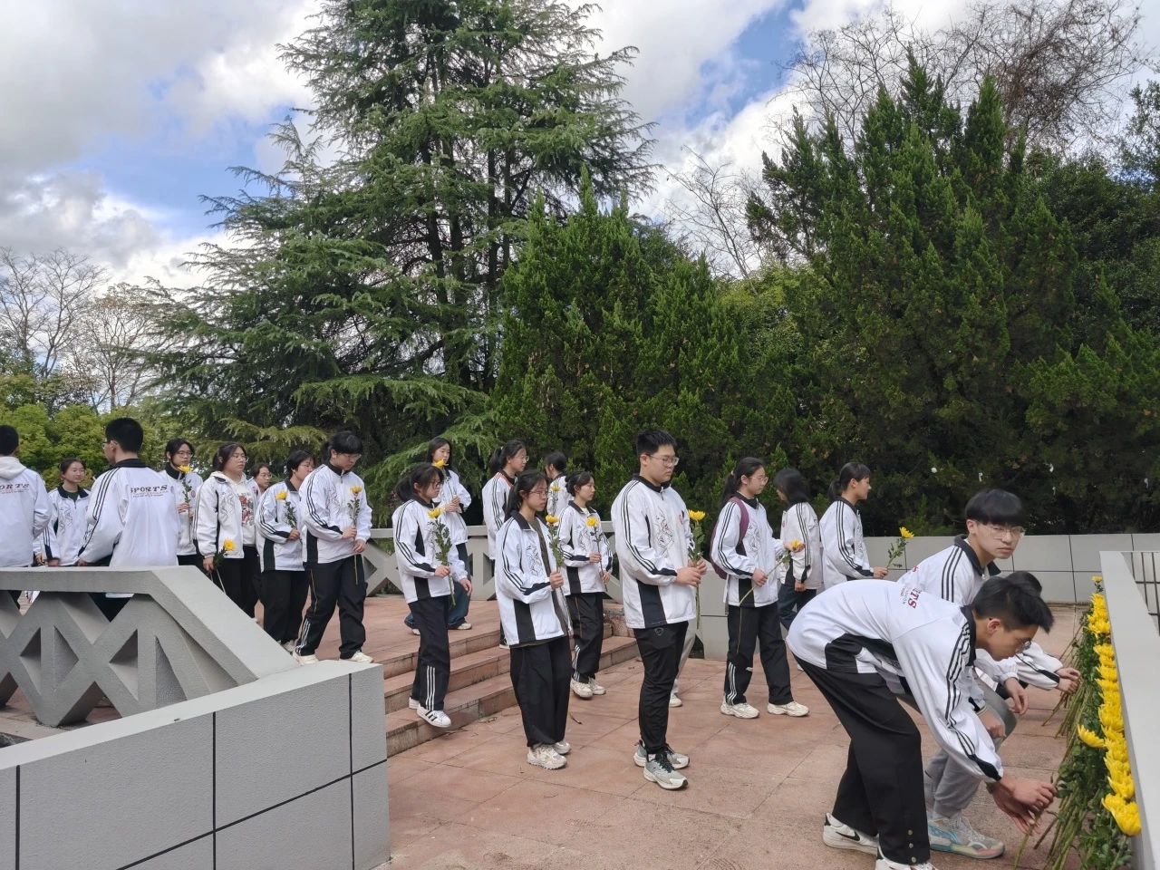 1712905638135980.jpg 310d33e6f57ecd04c5ab26bc0ec3d75d.jpg