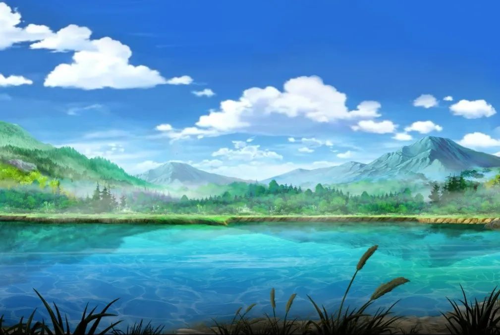 1715152873115557.jpg 27d379f0b34a33e947c5d11042803ade.jpg