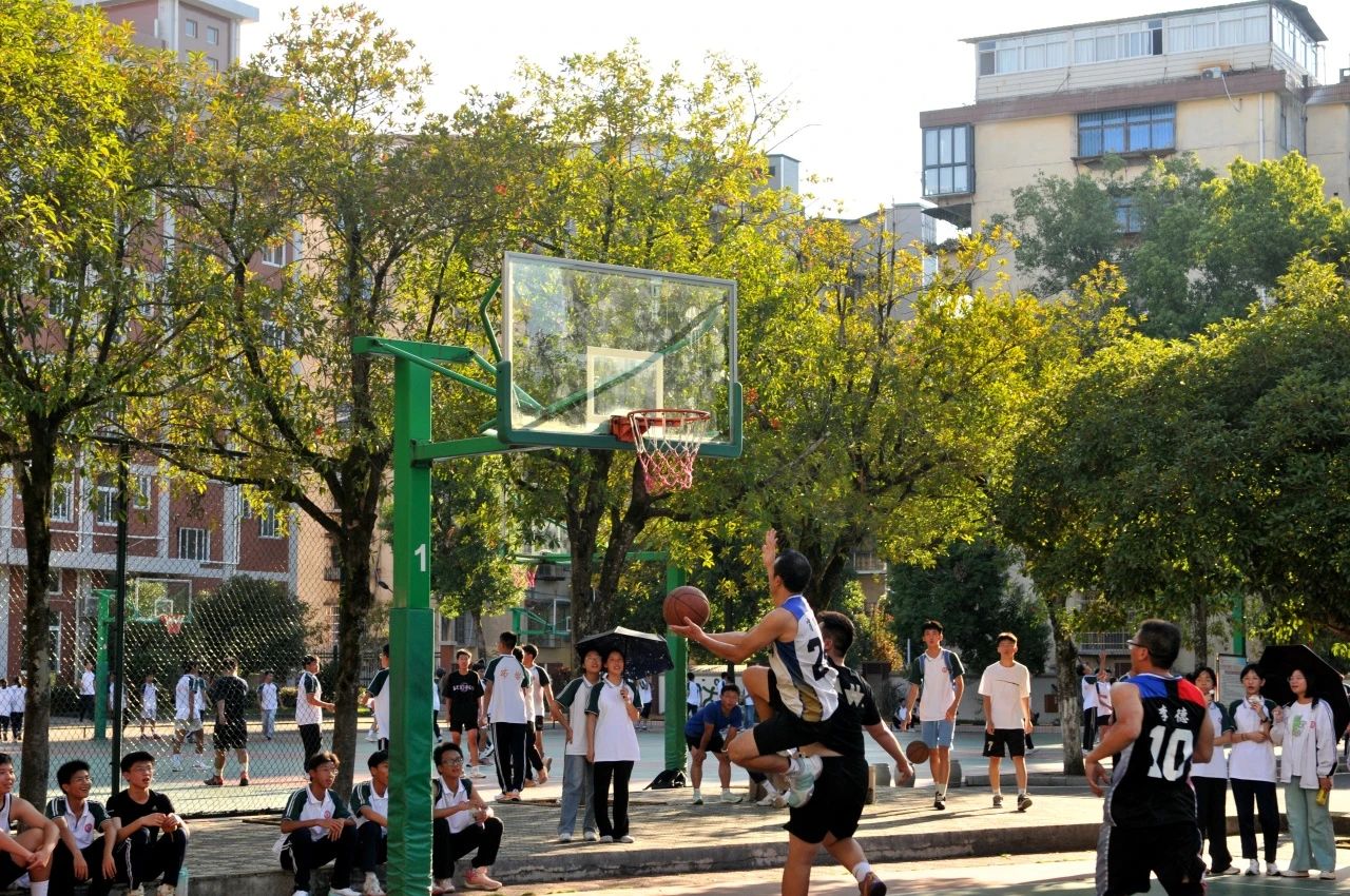 1726021850126293.jpg 8743f40a2e90e4791ddf3634177f31c6.jpg