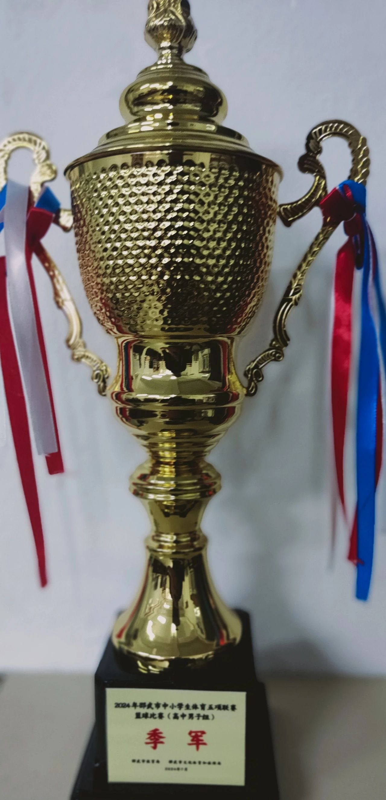 1728458164532131.jpg a10fa22777c33193292502ba371fb860.jpg