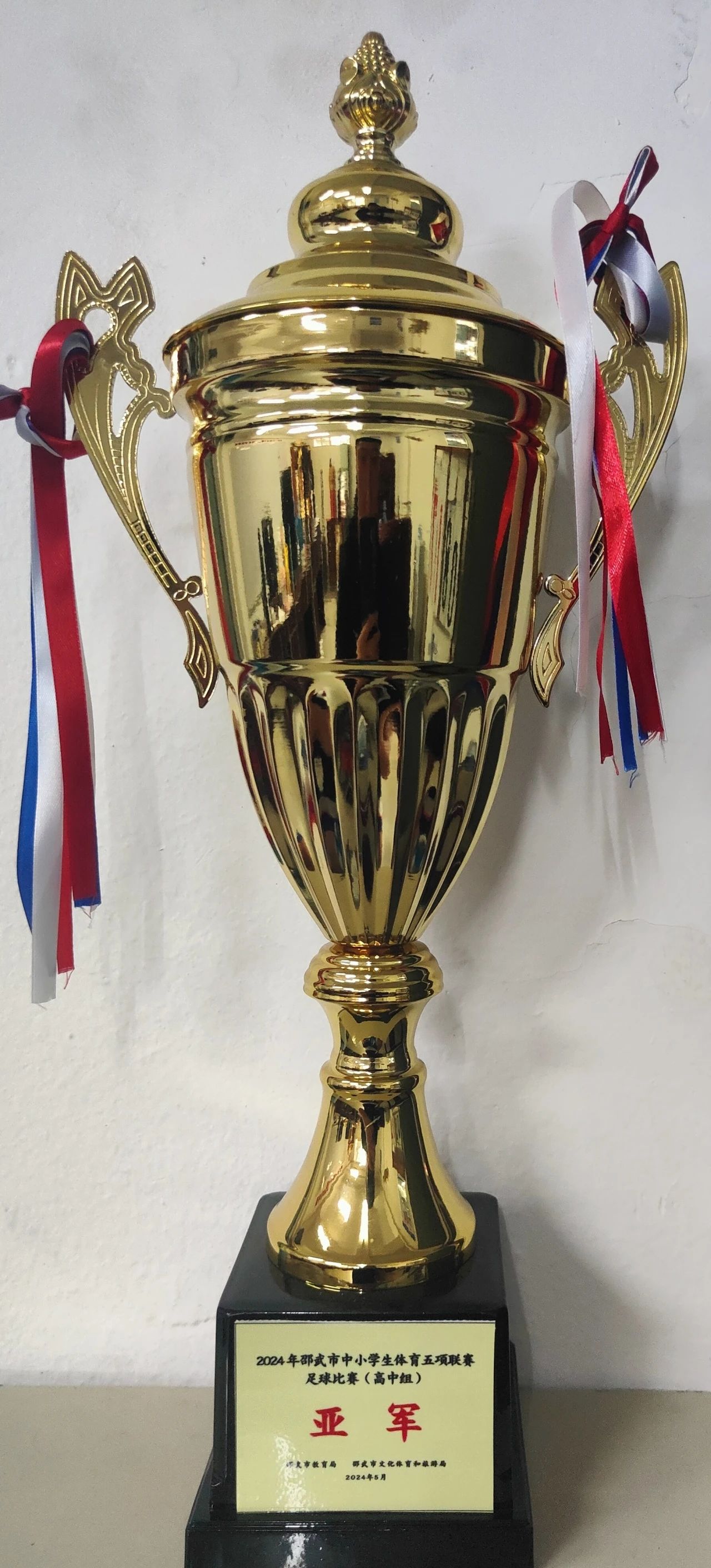 1728458192199194.jpg 0154b9293b8327c952df44df9ce63b4c.jpg