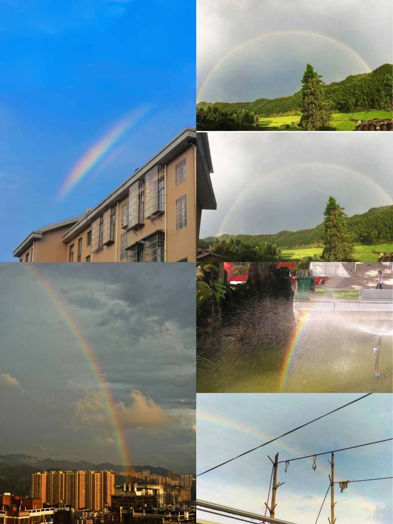 1741854169716823.jpg 44.jpg