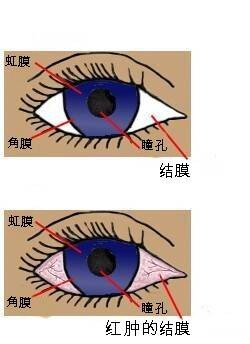 1757050267489787.png 图片1.png