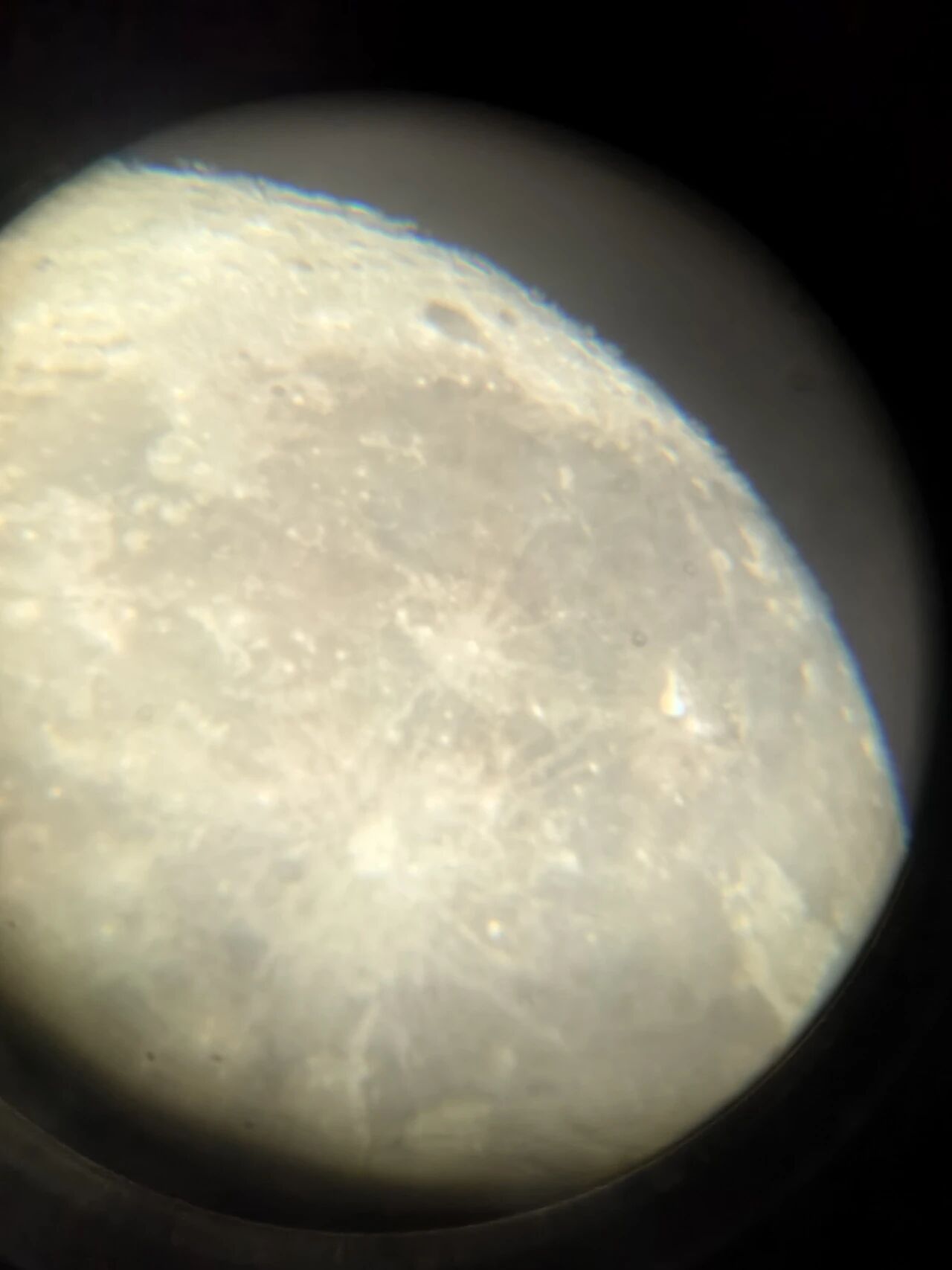 1764118932800219.jpg 微信图片_20251126090149.jpg